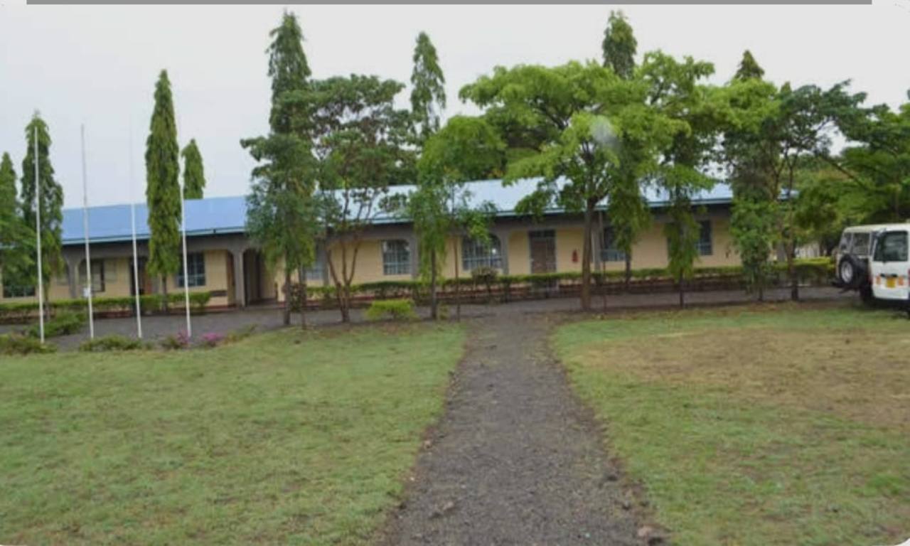 Joyland school grounds with a wide lawn, pathway, trees and a single-storey school building